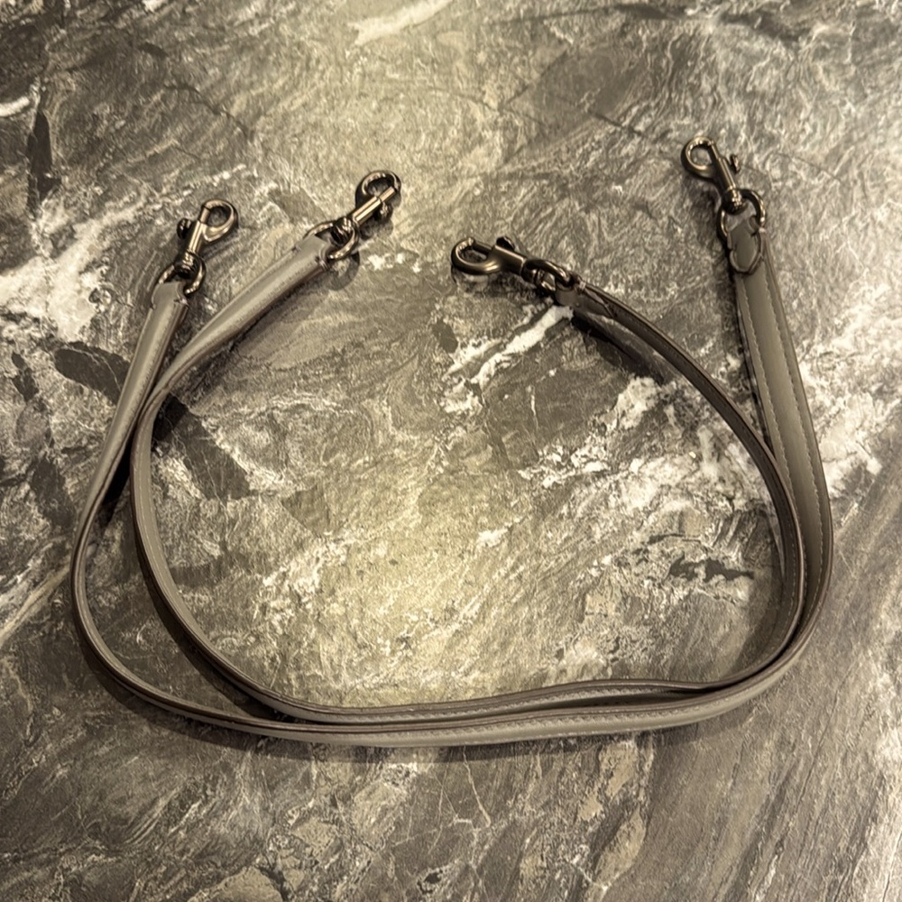 Coach Rogue Handles